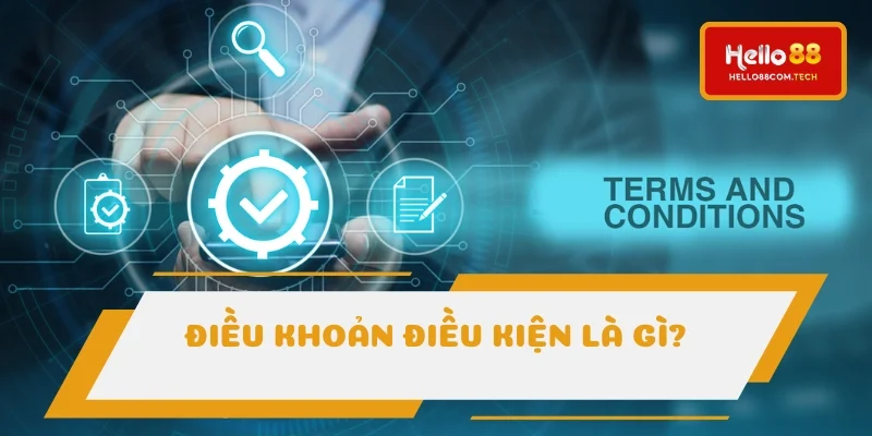 Điều khoản quy định cần rõ khi cá cược online Điều khoản quy định cần rõ khi cá cược online