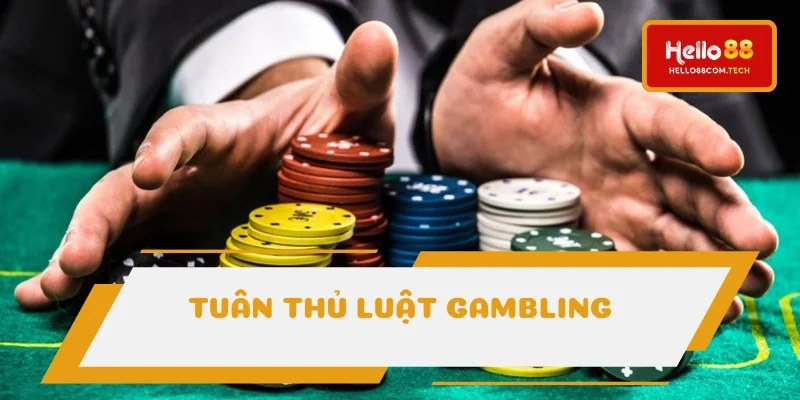 Đảm bảo tiêu chuẩn gambling công bằng, xanh chín Đảm bảo tiêu chuẩn gambling công bằng, xanh chín